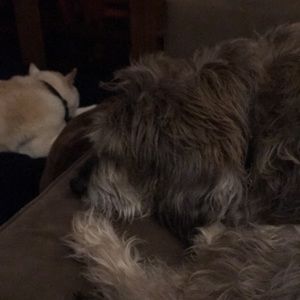 Meet your Posher, Arlene